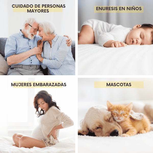 Protector Colchón Acolchado Impermeable Con 2 Protectores De Almohada De Regalo