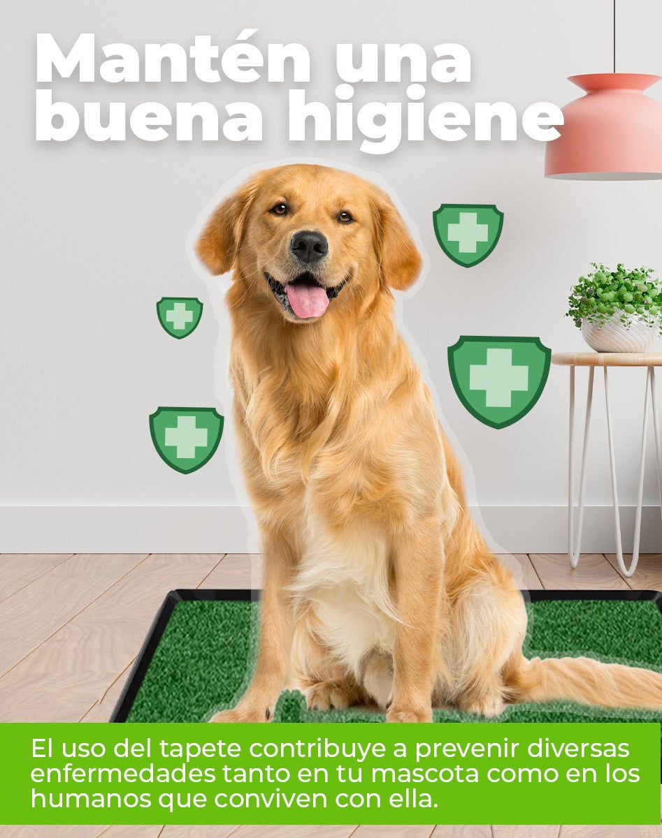 Tapete Entrenador Para Perro Con Obsequio Accesorio Para Mascotas