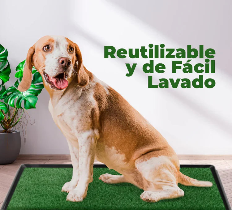 Tapete Entrenador Para Perro Con Obsequio Accesorio Para Mascotas