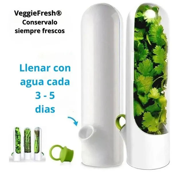 VeggieFresh Conservador De Vegetales Promo X 3 Unidades