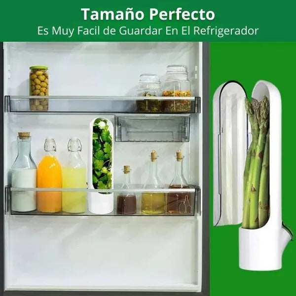 VeggieFresh Conservador De Vegetales Promo X 3 Unidades