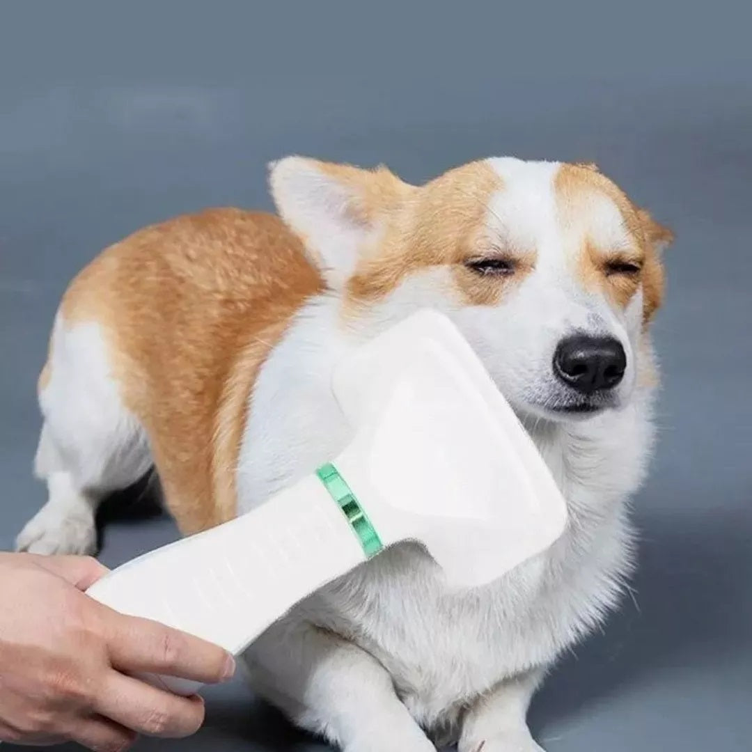 Secador 2 En 1 Para Mascotas Con Cepillo Integrado Secado Y Cepillado Eficiente