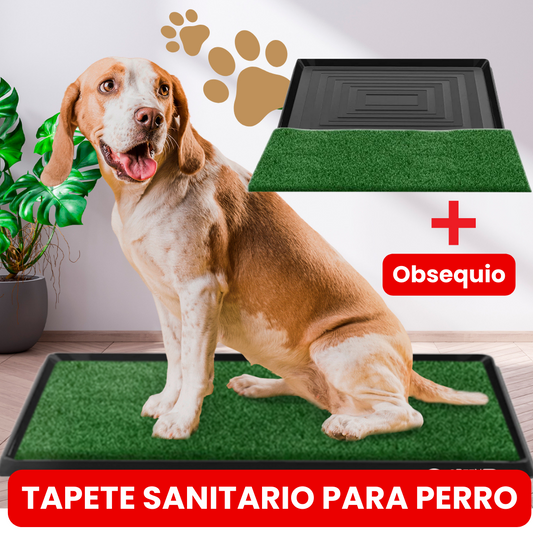 Tapete Entrenador Para Perro Con Obsequio Accesorio Para Mascotas